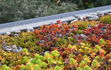 the cost of Penpethy green roof installation