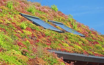 Penpethy living roof systems